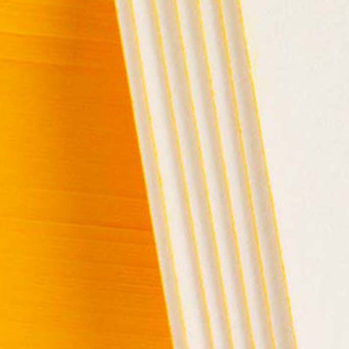 �������� rinsai����ۂ�