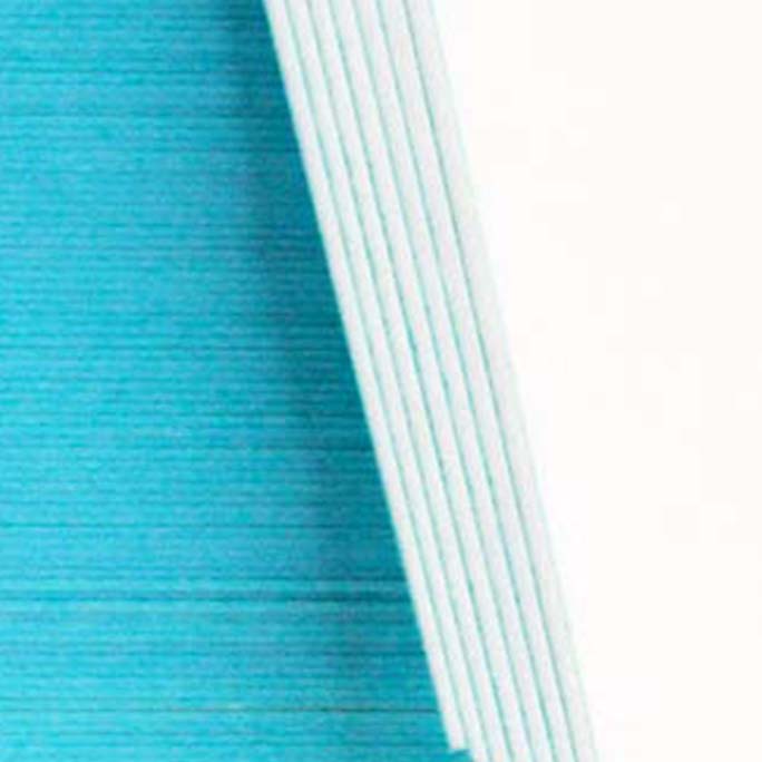 �������� rinsai������