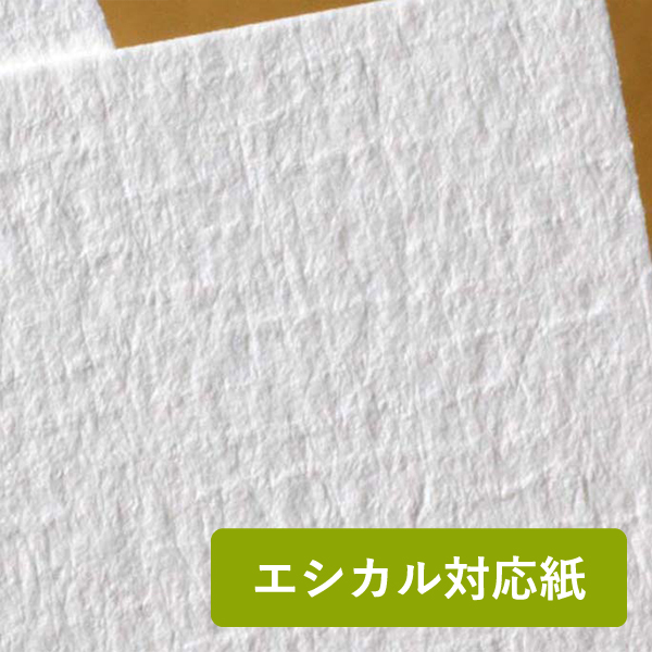 �R���P���[�@���C�h�@�u�����A���g�z���C�gCoC