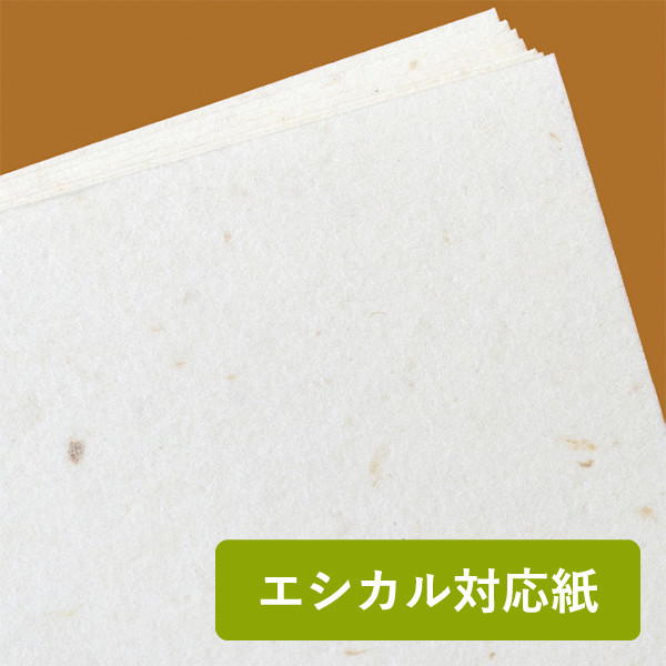 �o�i�i�y�[�p�[CoC