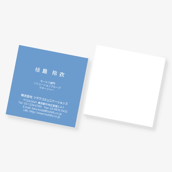 ���[���b�p�̓`���F �X�J�C�u���[ �X�N�G�A �Ж�