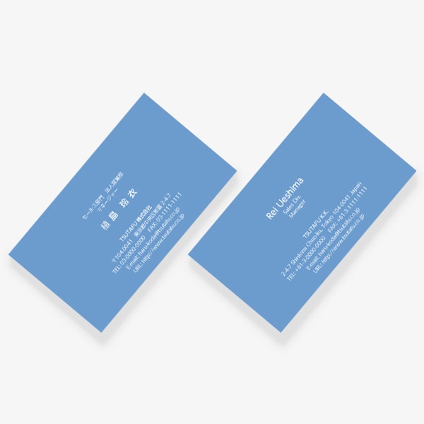 ヨーロッパの伝統色 スカイブルー US 両面