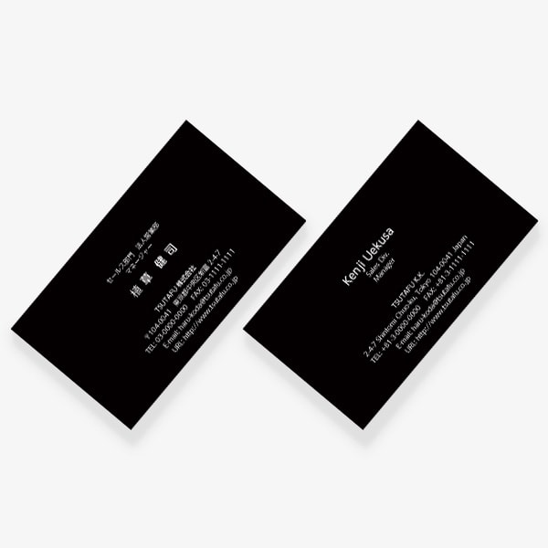 ヨーロッパの伝統色 グラファイト US 両面