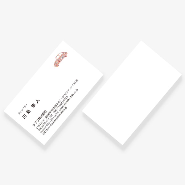 Flower x Car 春 US 片面