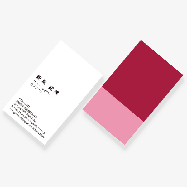 2TONE No.05 �� ROUGE RUBIS×ROSE TENDRE JP ����