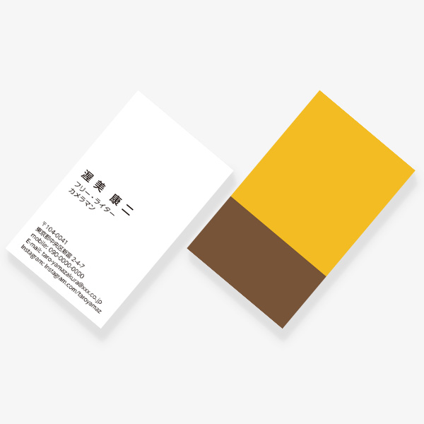 2TONE No.10 �H JAUNE DE NAPLES×MARRON ASSOURDI JP ����