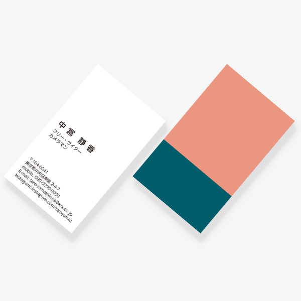 2TONE No.12 �H ROSE SAUMON×BLEU CANARD JP ����