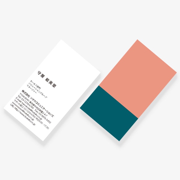 2TONE No.12 �H ROSE SAUMON×BLEU CANARD US ����