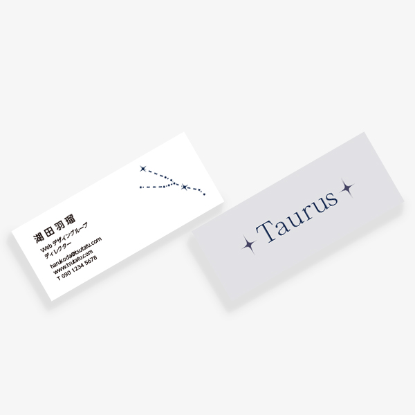 12���� Taurus�i�������j �����̂� mini ����