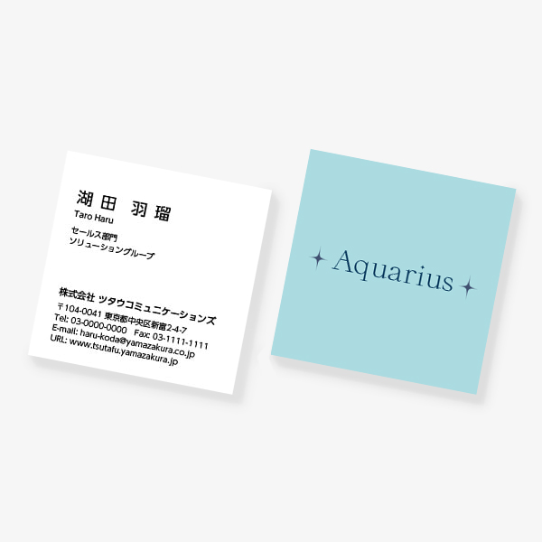 12���� Aquarius�i���r���j �����̂� SQ�y56mm�z ����