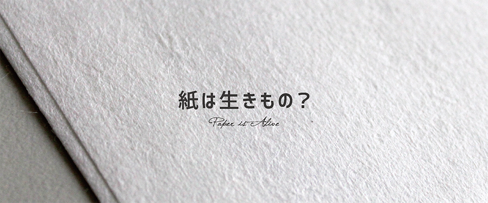 紙は生きもの?