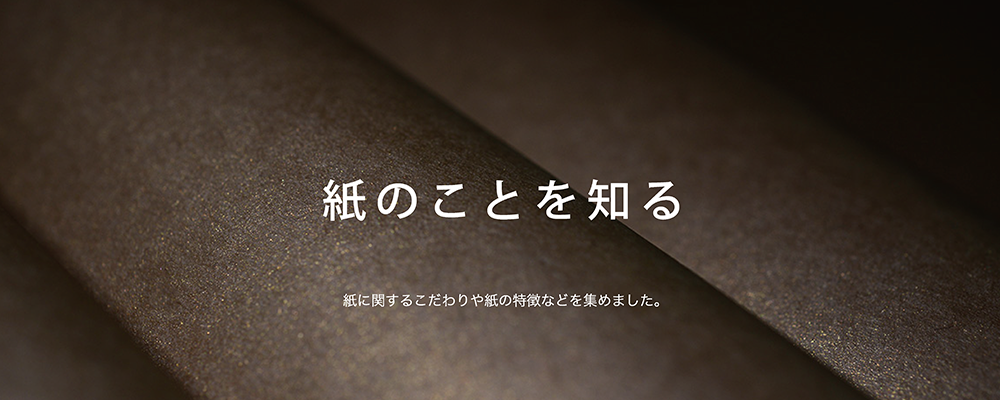 紙のことを知る