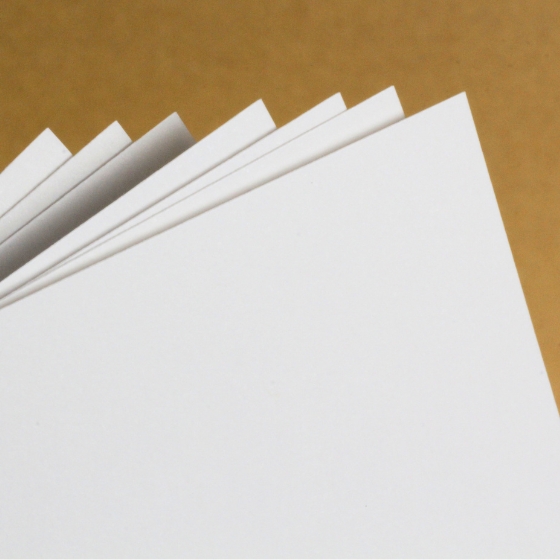 ������z���C�gCoC