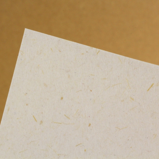 �o�i�i�y�[�p�[CoC